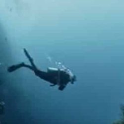 batgeo-duikjemee500-500x300