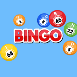 Bingo op 60PlusPlaza.nl