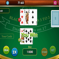 BlackJack op 60PlusPlaza.nl