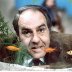 Willem Duys op 60PlusPlaza.nl